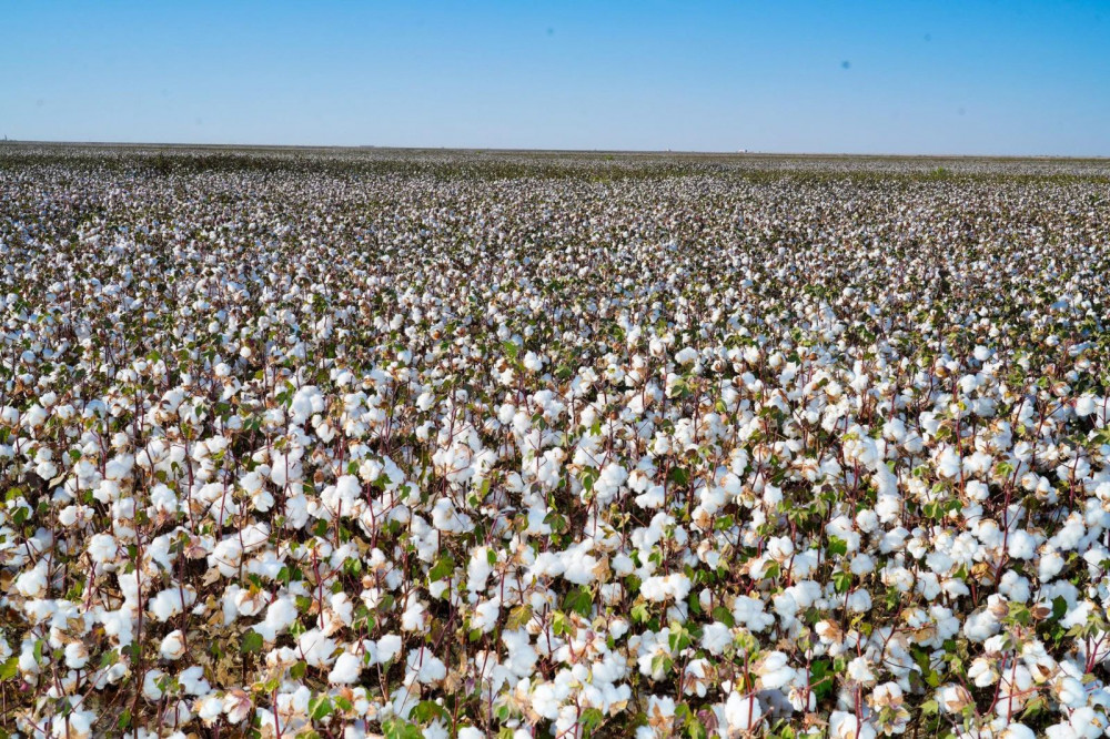 Видео секс туралы Қыздар интернетте анальный секс жасайды